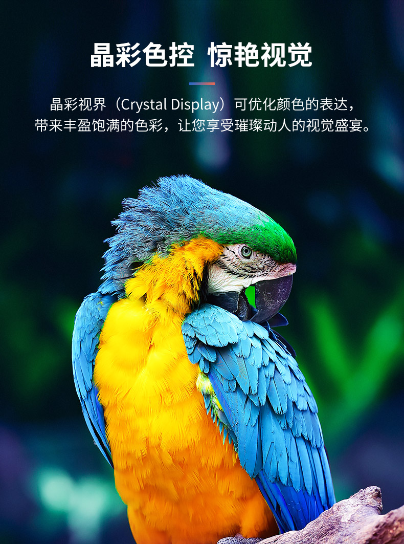 三星（SAMSUNG）82英寸 UA82TU8000JXXZ 4K超高清 HDR 物联IoT 人工智能 教育资源液晶电视机